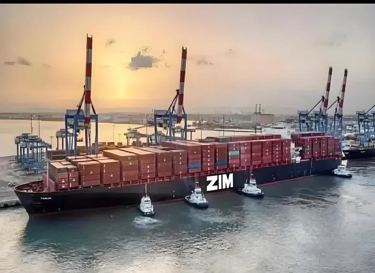 以星 ZIM